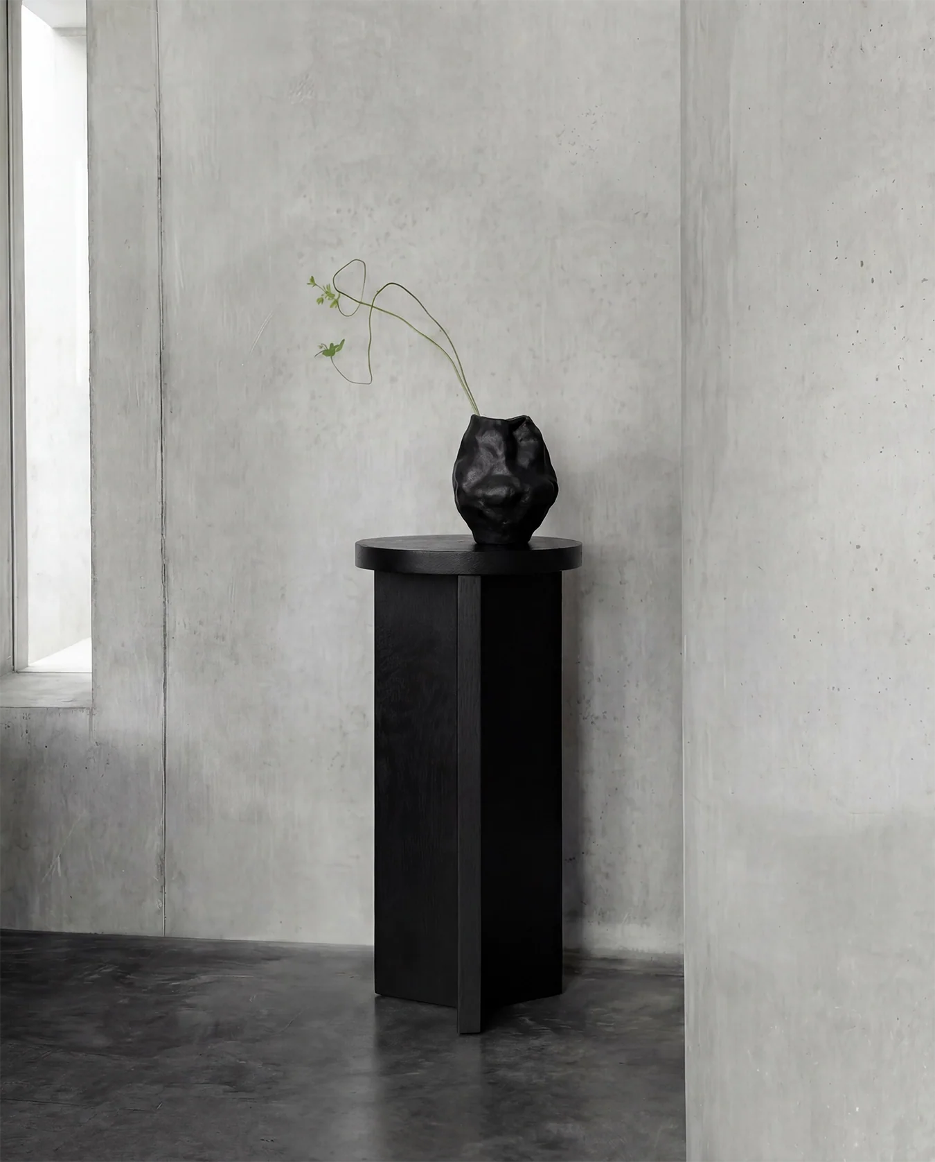 Pedestal Affe - Black oak - Image 3